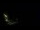 Webcam in Karpacz, 98 km