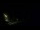 Webcam in Karpacz, 0.4 mi away