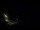 Webcam in Karpacz, 0.5 mi away