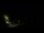 Webcam in Karpacz, 0.7 km entfernt