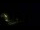 Webcam in Karpacz, 0.5 mi away