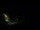 Webcam in Karpacz, 0.4 mi away