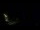 Webcam in Karpacz, 0 km entfernt