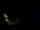 Webcam in Karpacz, 0.4 mi away