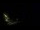 Webcam in Karpacz, 0.4 mi away