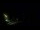 Webcam in Karpacz, 0.2 mi away