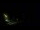 Webcam in Karpacz, 0.5 mi away