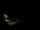 Webcam in Karpacz, 1.3 km entfernt