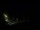 Webcam in Karpacz, 0.5 mi away