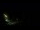 Webcam in Karpacz, 0.5 mi away