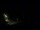 Webcam in Karpacz, 0 km entfernt
