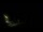 Webcam in Karpacz, 0.4 mi away
