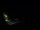 Webcam in Karpacz, 1 km
