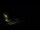Webcam in Karpacz, 0.5 mi away