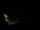 Webcam in Karpacz, 0.4 mi away