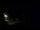 Webcam in Karpacz, 1.3 km