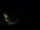 Webcam in Karpacz, 77.1 mi away