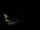 Webcam in Karpacz, 0.7 km