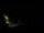 Webcam in Karpacz, 0.9 km