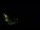 Webcam in Karpacz, 0 mi away