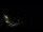 Webcam in Karpacz, 0.5 mi away