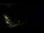 Webcam in Karpacz, 1.3 km entfernt