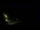 Webcam in Karpacz, 0.5 mi away