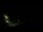 Webcam in Karpacz, 0.7 km