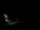 Webcam in Karpacz, 0.5 mi away