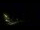 Webcam in Karpacz, 77.1 mi away