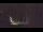 Webcam in Karpacz, 77.1 mi away