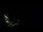 Webcam in Karpacz, 0 mi away