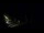 Webcam in Karpacz, 0.4 mi away