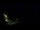 Webcam in Karpacz, 0.7 km entfernt