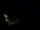 Webcam in Karpacz, 0.2 mi away
