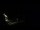 Webcam in Karpacz, 0.7 km entfernt