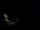 Webcam in Karpacz, 0.5 mi away