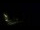 Webcam in Karpacz, 0.5 mi away