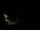 Webcam in Karpacz, 0 mi away