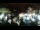Webcam in Karpacz, 1.8 km entfernt