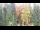 Webcam in Karpacz, 0 mi away
