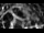 Webcam in Osiek, 17.1 mi away