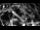 Webcam in Osiek, 48.9 km entfernt