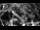 Webcam in Osiek, 15.2 mi away