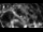 Webcam in Osiek, 15.2 mi away