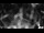 Webcam in Osiek, 18.9 mi away