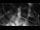 Webcam in Osiek, 17.1 mi away