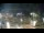 Webcam in Sucha Beskidzka, 12.8 mi away