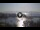 Webcam in Piso Livadi (Paros), 4.9 mi away