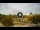 Webcam in Reunion, Florida, 122.8 km